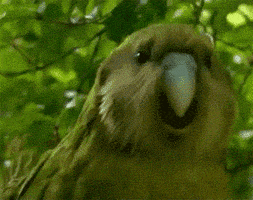 1643173097406.gif