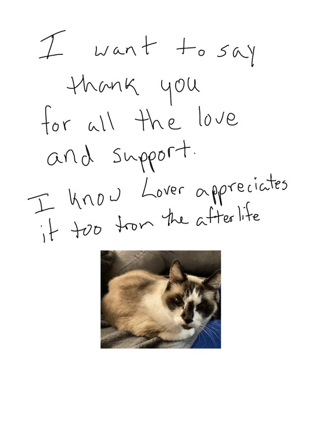1643395102689.png