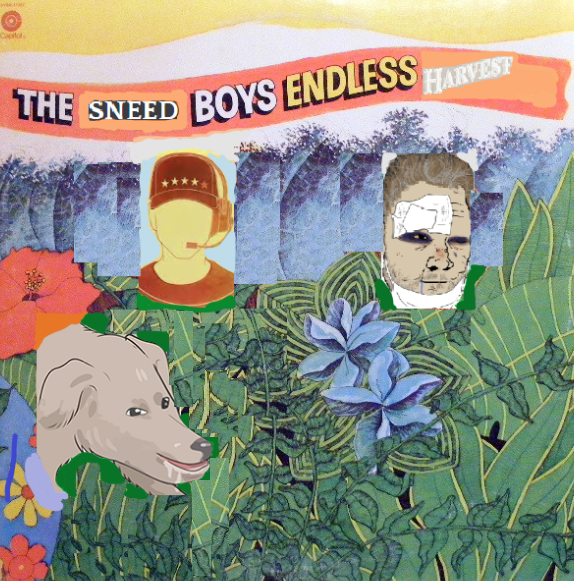 1644174355291.png