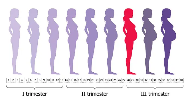 1644182457211.png
