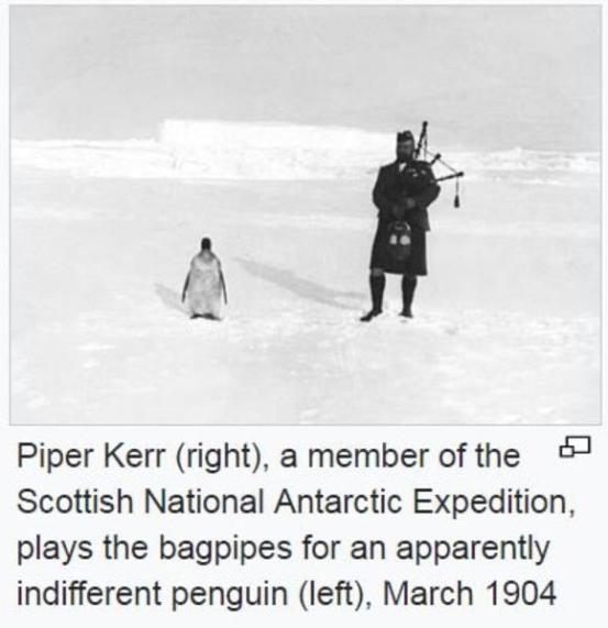 1645397243054.png