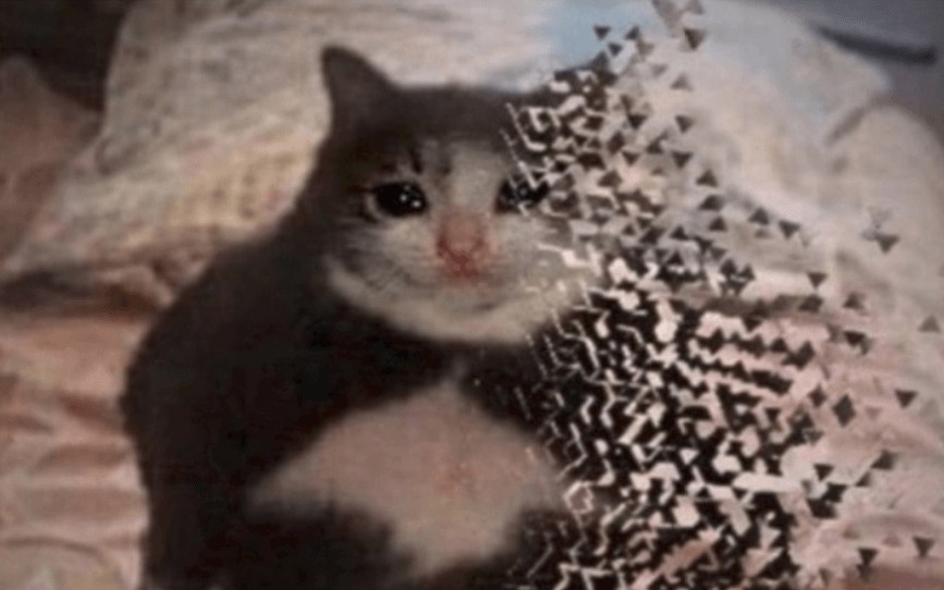 1647423196327.png