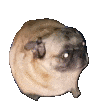1649991489709.gif