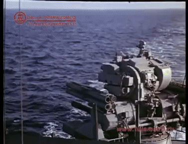 1650232533288.gif