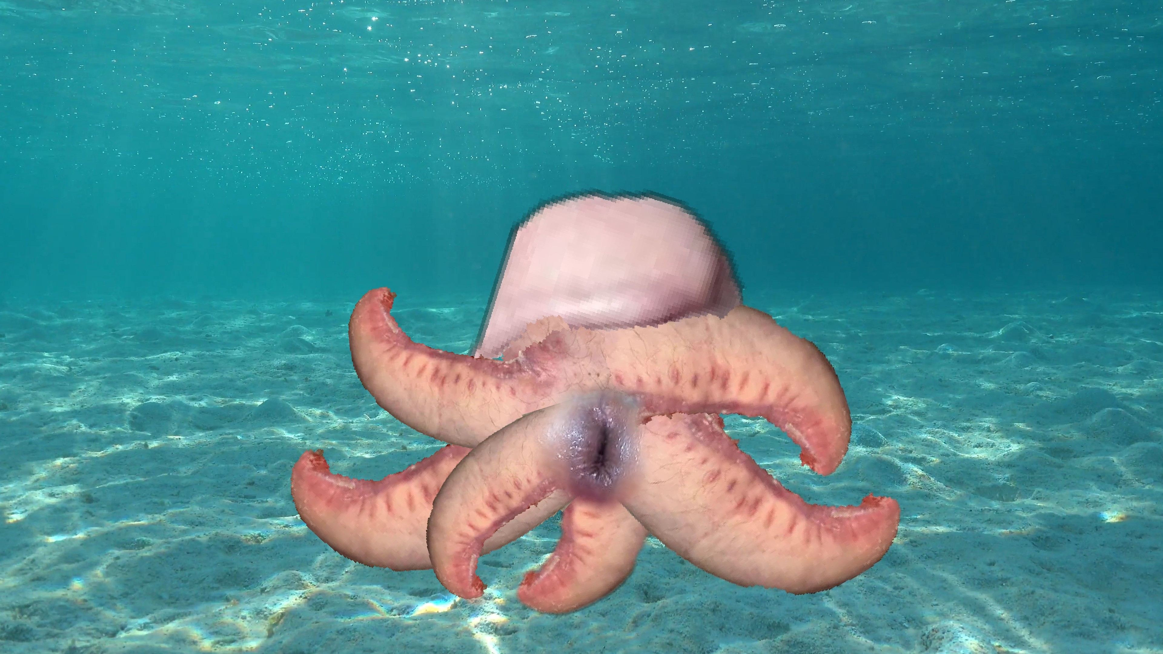 1650665226236.png