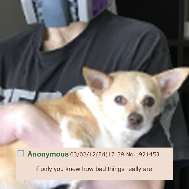 1650825635544.png