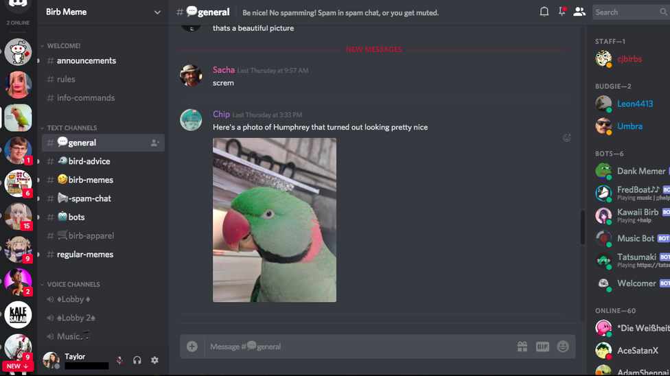 1651032551207.png