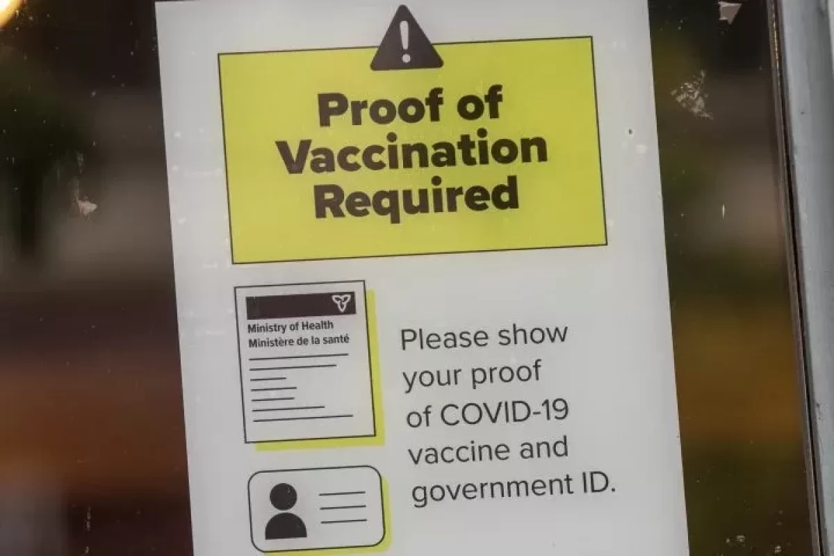 1651168802233.png