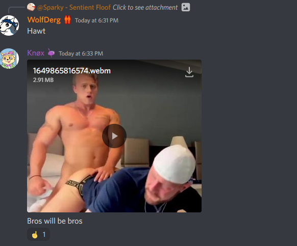 1653187557248.png
