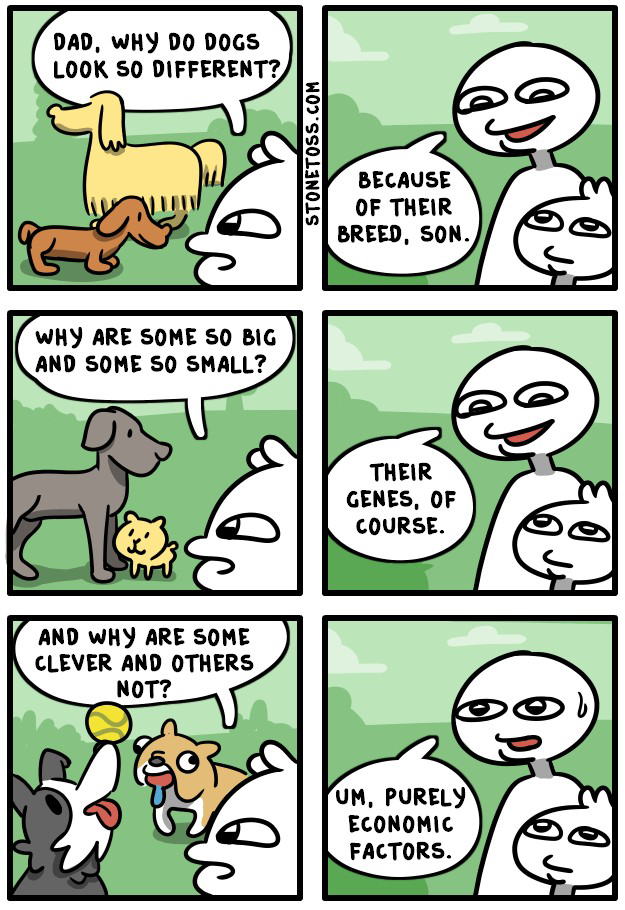 1653824077199.png