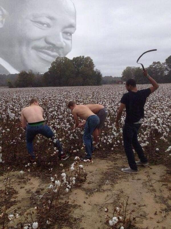 1659059137024.png