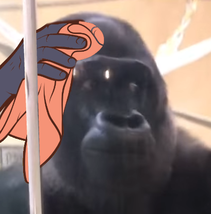 1661054163733482.png
