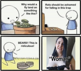 1665800536296.png
