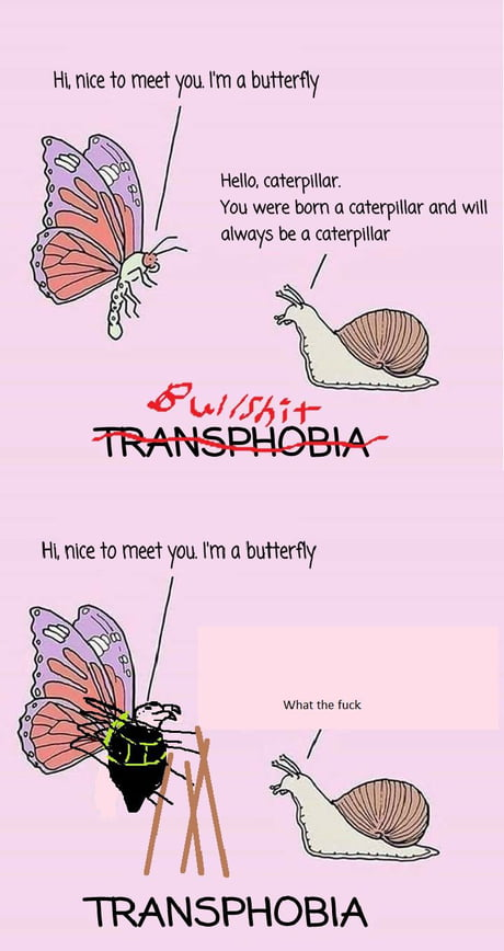 1668978015677.png