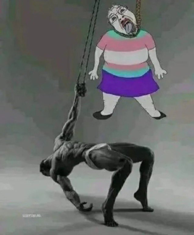 1675538093910.png