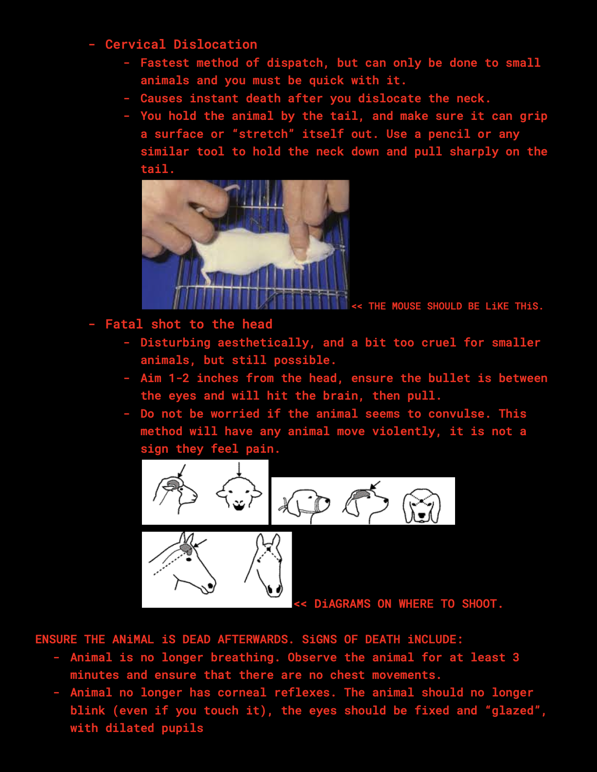 1675657487794.png