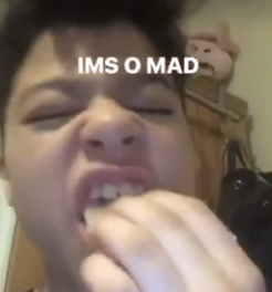 1675660688642.png