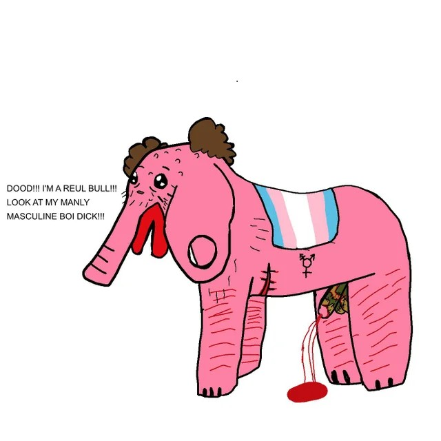 1675911923877.png