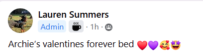 1676496382663.png