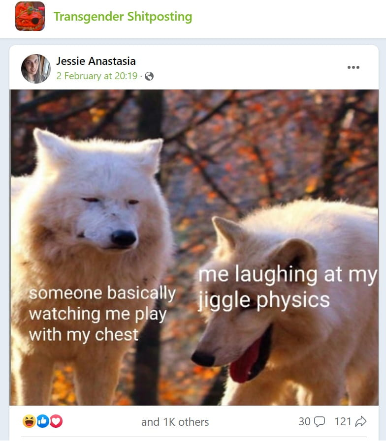 1676719086351.png