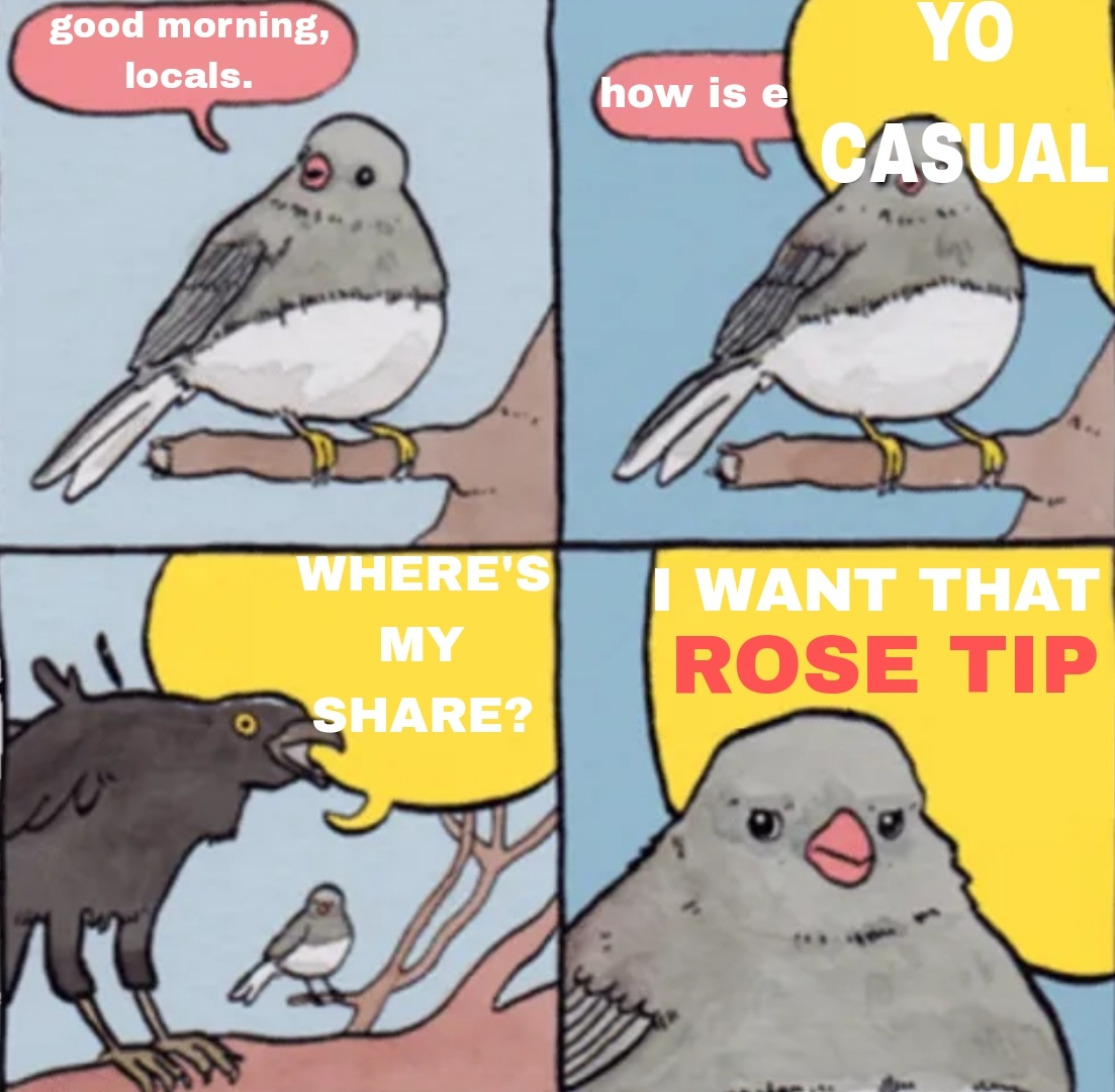 1677430099653.png