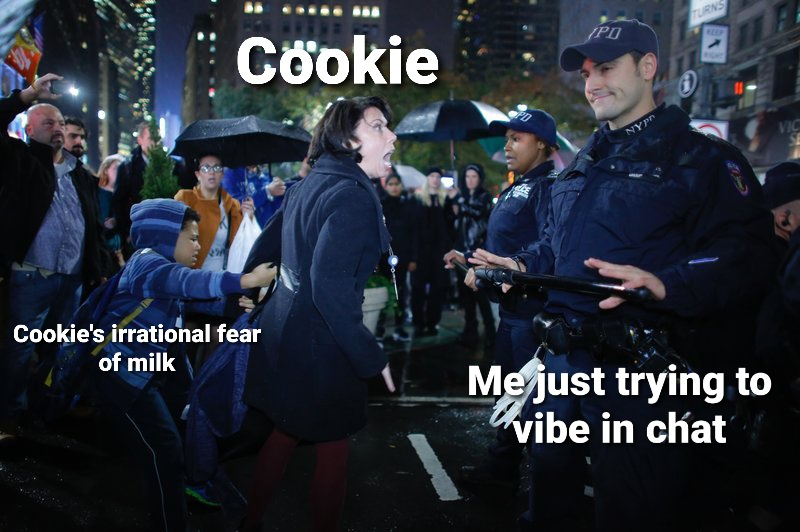 1677430126259.png