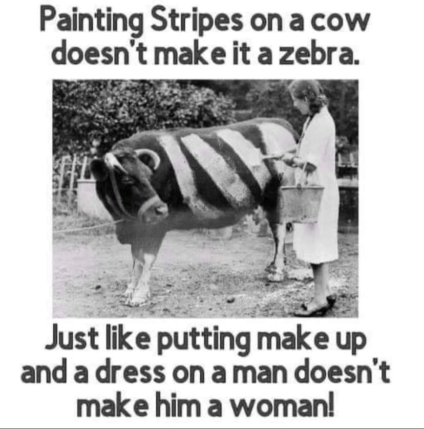 1679062227464.png