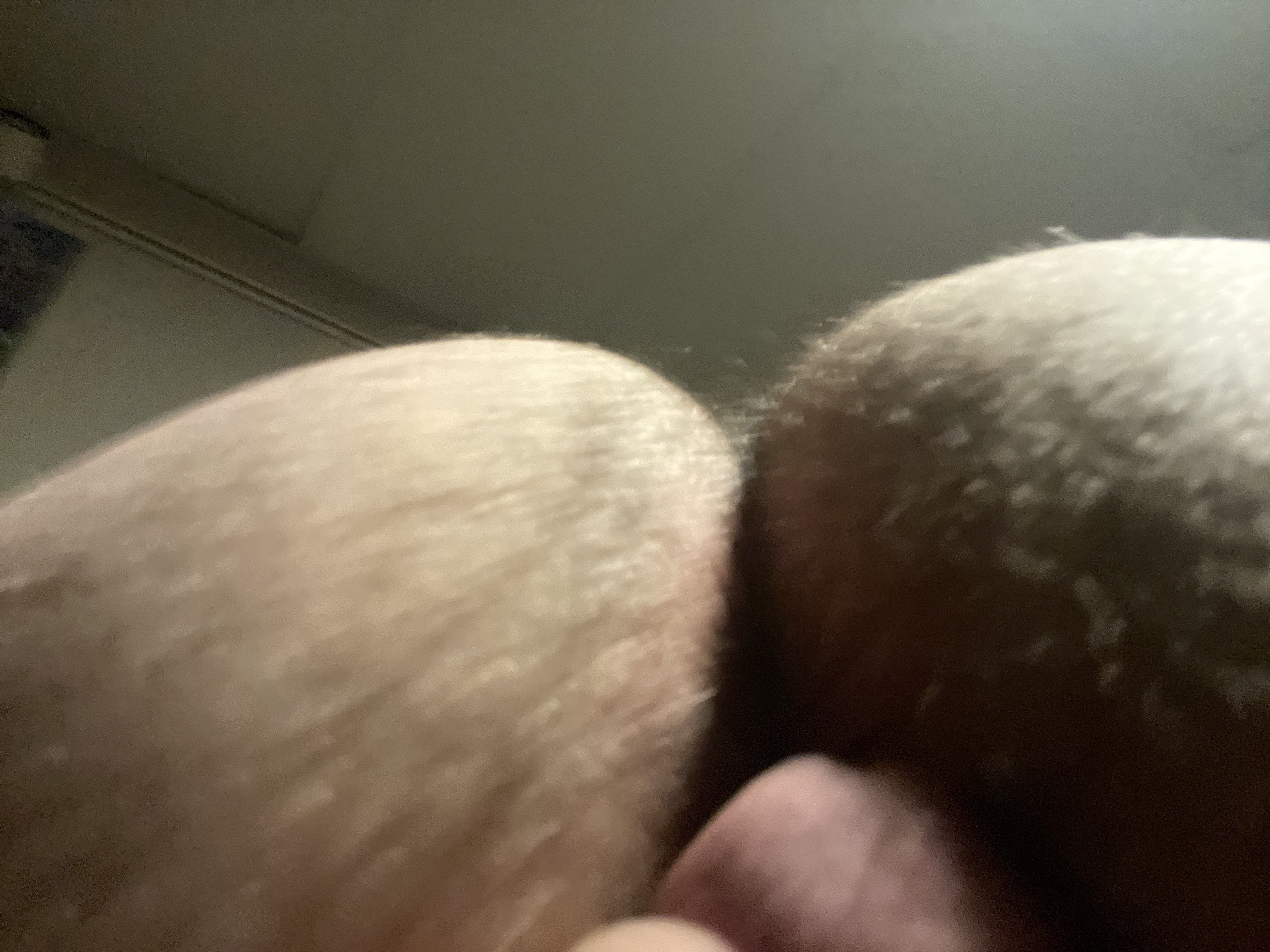 1679866399930.jpeg