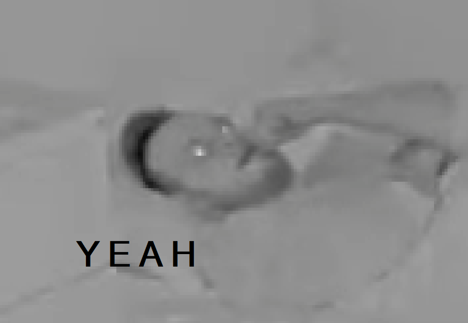 1682154382889.png