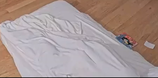 1682482726543.png