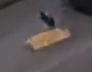 1682909200422.png