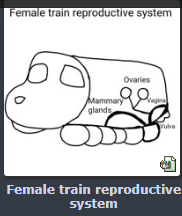1689906863344.png