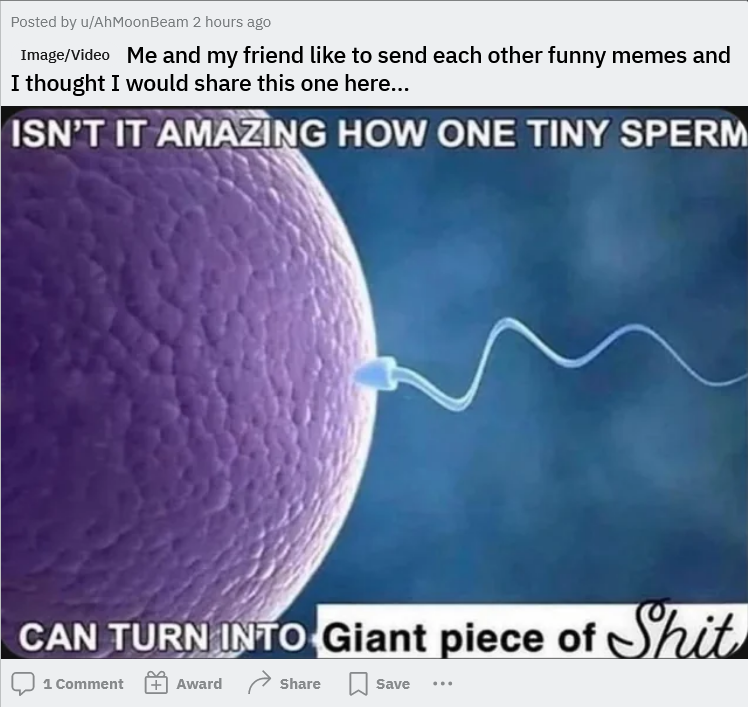 1690331236992.png