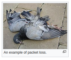 1693947775907.png
