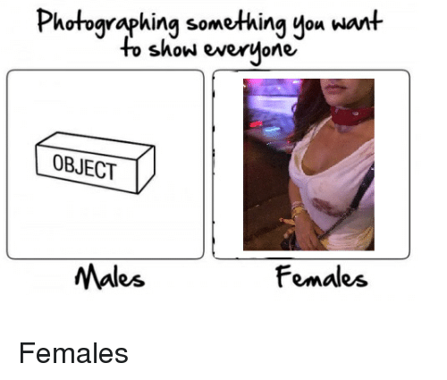 1694701506192.png