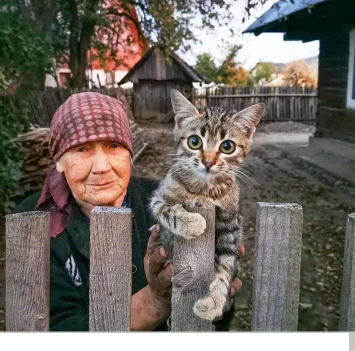 1695412400535.png