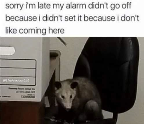 1699665370426.png