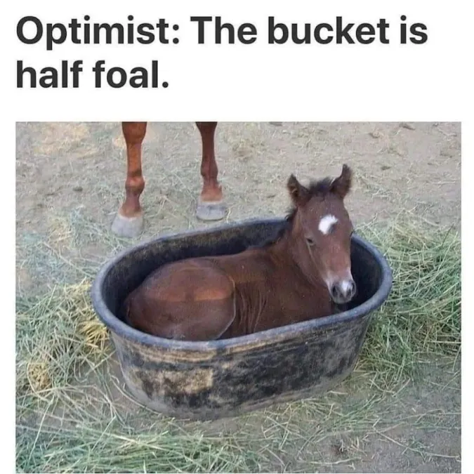 1699725970284.png