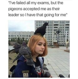 1704687780802.png