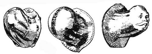 1705027478601.png