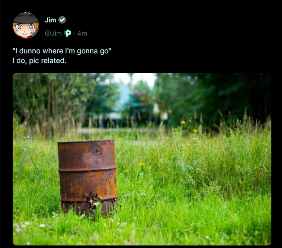 1706589506370.png