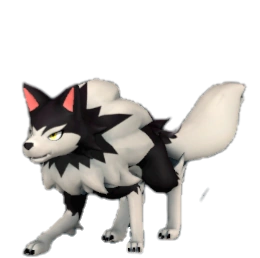 1706801800161.png