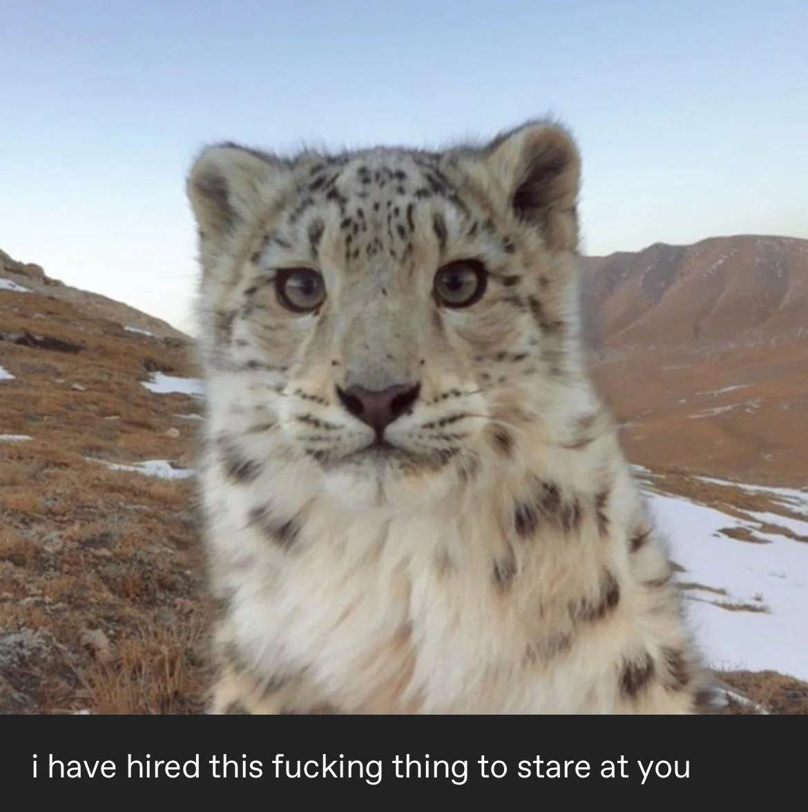 1708812965407.png