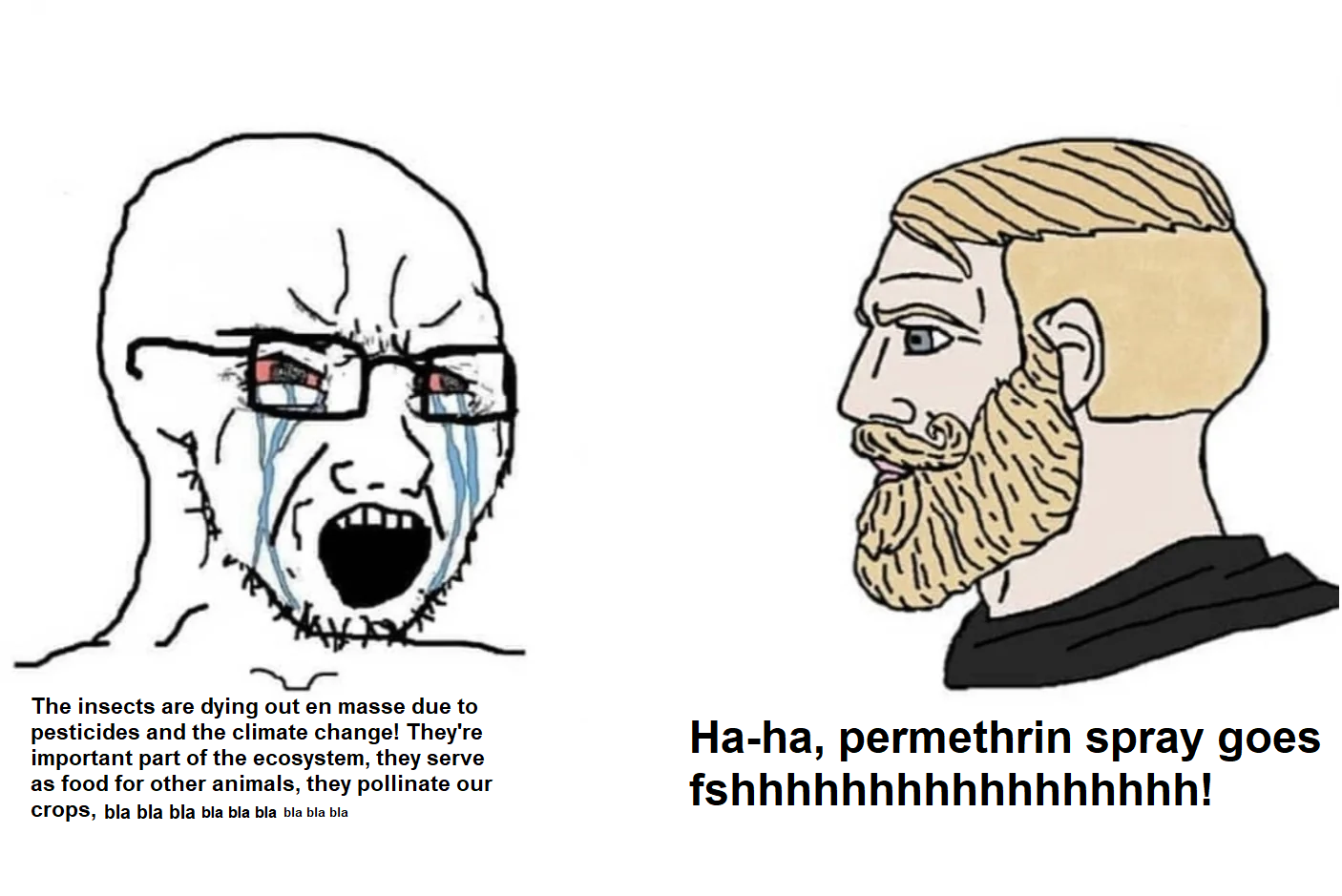 1709507081355.png
