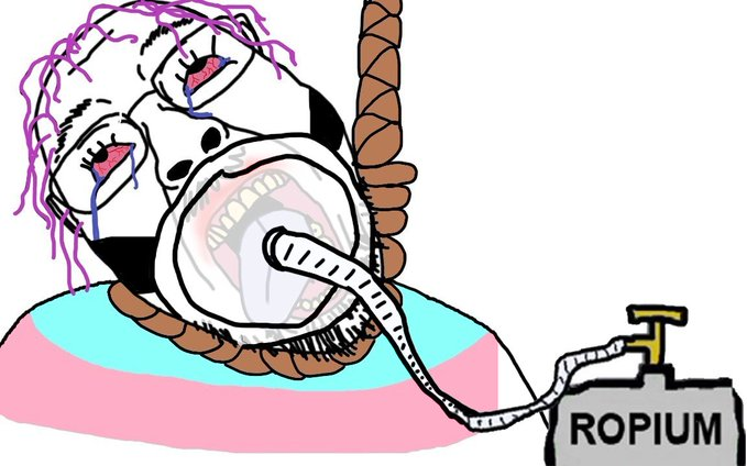 1709508419642.png