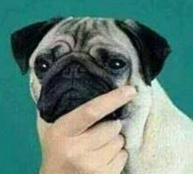 1709583340360.png