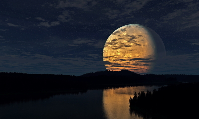 1718475299654.png