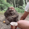 1718513990110.gif