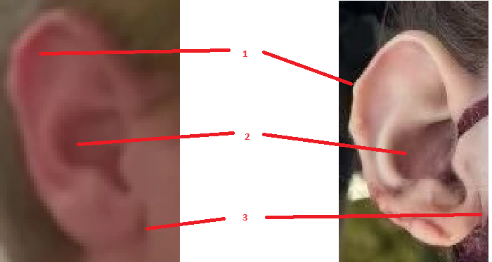 1720965059009.png
