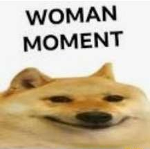 1721889116069.png